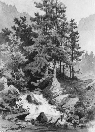 Waldlandschaft mit Wasserfall (Kleiner Wasserfall vor Nadelbäumen) : Leonhardi, Eduard: Waldlandschaft mit Wasserfall (Kleiner Wasserfall vor Nadelbäumen). 24.6.1854. Aquarell; 24,5 x 17,8 cm. Leipzig: Museum der bildenden Künste 1952-16
