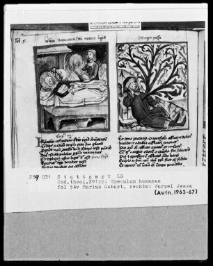 Zwei Schriften — Speculum humanae salvationis — Textseite mit zwei Miniaturen, Folio 54verso