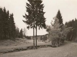 Tal der Großen Striegis. Mühlgraben unterhalb Zechendorf