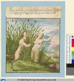Pan und Syrinx