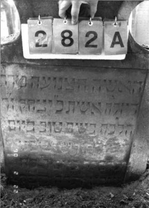 Grabstein 282 (Index: 100115913) Material: Sandstein Zustand: leicht verwittert Maße HxBxT: 105x74x13 cm Beschreibung: Stele mit konkav eingezogenem Segmentbogenabschluß, eingetieftes Schriftfeld Symbolik: Blüte: Grabstein 282A