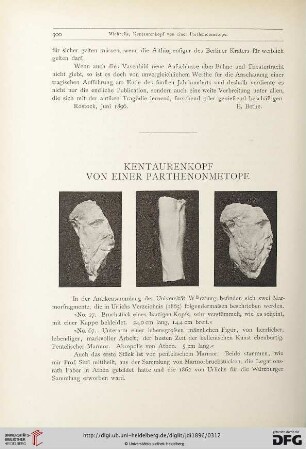 11: Kentaurenkopf von einer Parthenonmetope