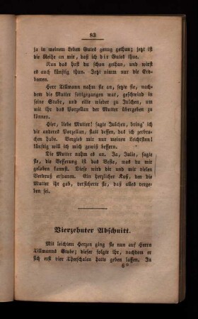 Vierzehnter Abschnitt.