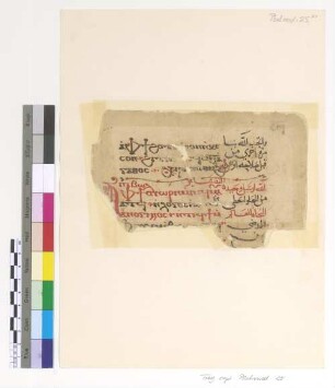 [Theotokia] : Fragm. copt. Pischoi Psalmod. 25