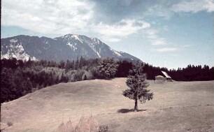 Karpaten: Rosenauer Wiese, Hintergrund Schuller, einzelner Baum