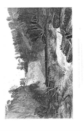 Falls of the Clyde at Stonebyres.