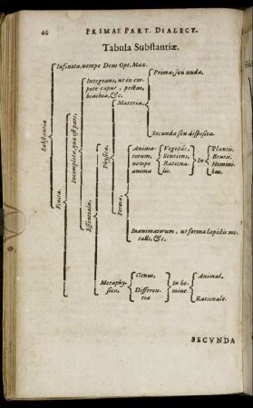Tabula Substantiæ.