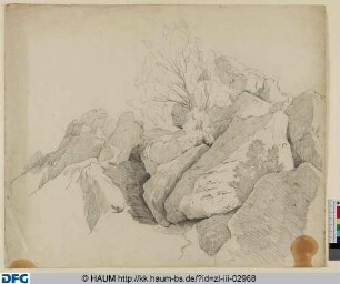 Felsen mit einem Baum