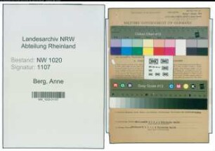 Entnazifizierung Anne Berg , geb. 11.10.1905 (Haendlerin)
