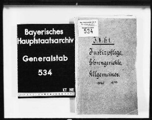 Justizpflege