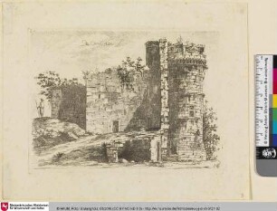 [Ruine des alten Schlosses von Saint-Chamond, Loire; Ruines du vieux château de Saint-Chamond]