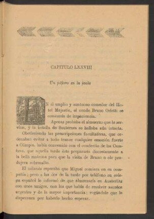 Capítulo LXXVIII - Un pájaro en la jaula