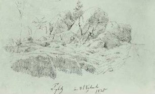 Felsengruppe mit kleiner Fichte (bei Teplitz)