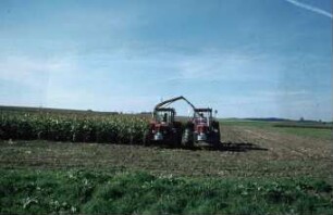 Fotografie: Futtererntetechnik, Silageernte, Maishäcksler angebaut, Parallelverfahren, Silomais