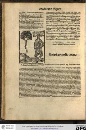 Declaratio huius figurae in comediam Therentii quae in ordine quarta est atque Adelphos vocitata.