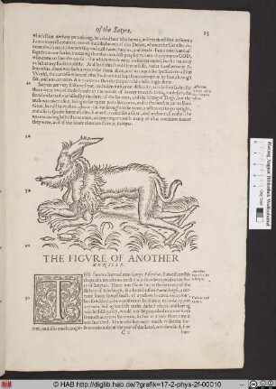 The Figure of another Monster.