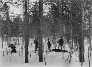 Erlegter Bär : Ein erlegter Bär wird auf Skiern aus einem Wald nahe Tomsk in Sibirien transportiert