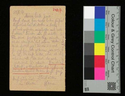 Feldpostkarte an Jena (Eugenie Knepscher [Mutter]) von Leutnant Knepscher