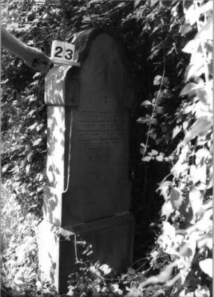 Grabstein 23 (Index: 100100633) Material: Sandstein Zustand: verwittert Maße HxBxT: 160x55x21 cm Beschreibung: Stele, Sockel, geschwungener Rundbogenabschluß , seitlich eckige Voluten: Grabstein 23