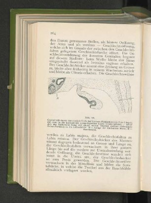 Abb. 159.