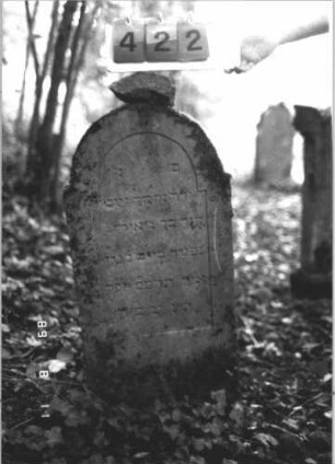Grabstein 422 (Index: 99800282) Material: Sandstein Zustand: verwittert Maße HxBxT: 105x41x8 cm Beschreibung: Stele, eingezogener Rundbogenabschluß, Schriftfeld eingetieft Besonderheit: Kindergrab: Grabstein 422