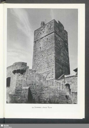 Neipperg, oberer Turm