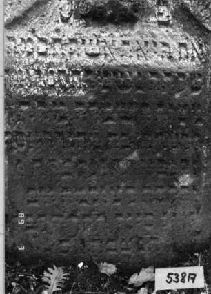 Grabstein 538 (Index: 99752990) Material: Sandstein Zustand: leicht verwittert Maße HxBxT: 112x70x13 cm Beschreibung: Stele, Konvexbogenabschluß, Schriftfeld eingetieft Symbolik: Muschel Besonderheit: Zitat Proverbia 12, 4 und 31, 10: Grabstein 538A