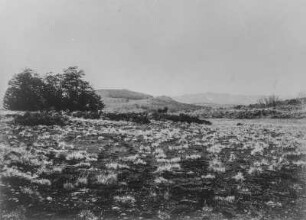 Landschaft : Blick über die Steppe auf die Umgebung des Kilimandscharogebietes