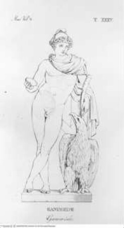 Musée Pie-Clémentin. Vol. II., Tafel XXXV: Ganymed