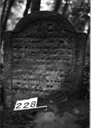 Grabstein 228 (Index: 99803321) Material: Sandstein Zustand: stark verwitt/Textverlust Maße HxBxT: 65x67x9 cm Beschreibung: Stele mit Karniesbogen und profiliertem Rand: Grabstein 228