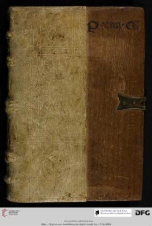 Albertus Magnus, Ps.-Aristoteles, Guido Faba
