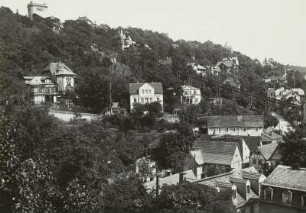 Elbhang mit Schwebeseilbahn und Loschwitzhöhe. Blick aus dem Tal nach Osten : Dresden-Loschwitz. Elbhang mit Schwebeseilbahn und Loschwitzhöhe. Blick aus dem Tal nach Osten