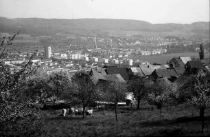 Lörrach, Tüllingen: Von Tüllingen (alte Dächer) auf Stetten und Grenze
