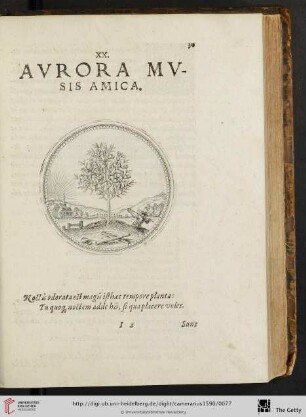 XX. Avrora mvsis amica