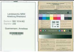 Entnazifizierung Anneliese Guennemann , geb. 24.11.1908 (Kaufmaennische Angestellte)