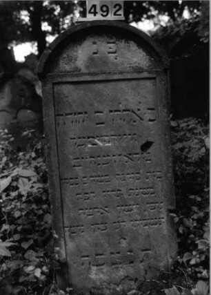 Grabstein 492 (Index: 99803814) Material: Sandstein Zustand: Einschlagloch? Maße HxBxT: 130x57x14 cm Beschreibung: Stele mit verdachtem Rundbogen, profiliertem Rand, Giebelfeld Besonderheit: Endreim: Grabstein 492
