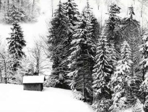 Winterlandschaft