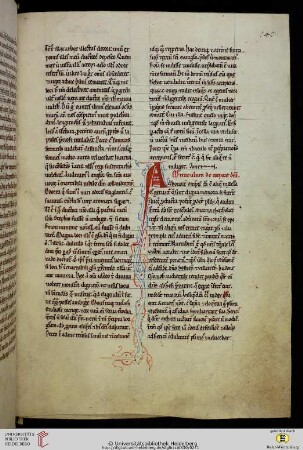 (2) Miraculum de corpore domini