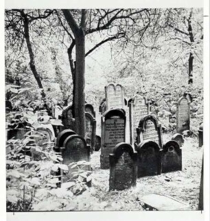 Mannheim, MA; Alter jüdischer Friedhof, Gräber