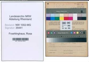 Entnazifizierung Rosa Froehlinghaus , geb. 21.08.1920 (Hausangest.)