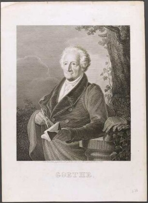 Johann Wolfgang von Goethe, Schriftsteller