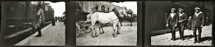 Kodak-Filmstreifen mit zwei Fotos und ein Einzelfoto (unbekannter Aufnahmeort, vermutlich in der Bretagne)