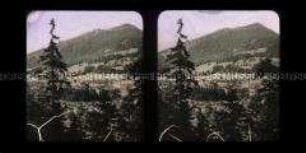 Blick auf Goisern im Salzkammergut