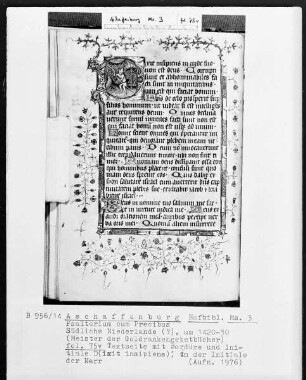 Psalterium cum Precibus — Initiale D (ixit insipiens) mit Narr, Folio 75verso