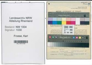Entnazifizierung Karl Froese , geb. 20.10.1903 (Arbeiter)