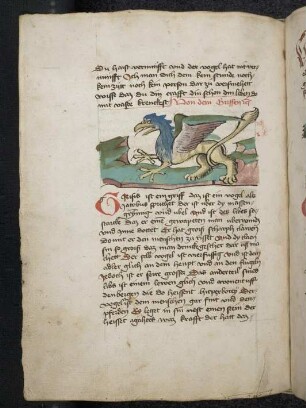 Greif; (Buch III: Von den Vögeln)