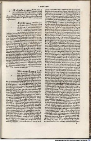 Repetitio capituli 'Canonum statuta De constitutionibus'