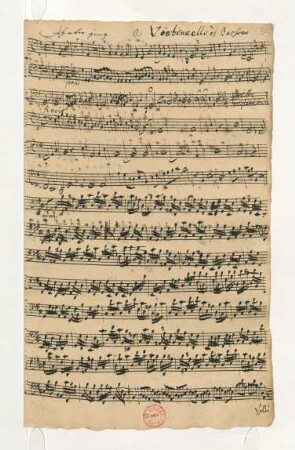 Violoncello è Bassono