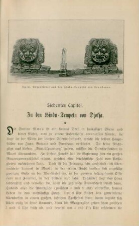 Siebentes Capitel. Zu den Hindu-Tempeln von Djokja
