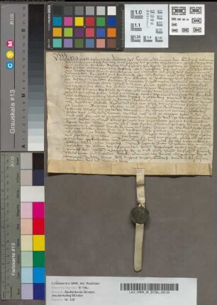 Urkunde, die sich auf die testamentarische Verfügung der virginis Elisabeth Frie (oder Freie) bezieht.